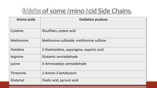 Oxidation of some Amino Acid Side Chains:
Amino acids Oxidation produce
Cysteine Disulfides, cysteic acid
Methionine Methionine sulfoxide, methionine sulfone
Histidine 2-Oxohistidine, asparagine, aspartic acid
Arginine Glutamic semialdehyde
Lysine Α-Aminoadipic semialdehyde
Threonine 2-Amino-3-ketobutyric
Glutamyl Oxalic acid, pyruvic acid
 