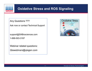 Oxidative Stress and ROS Signaling

Any Questions ???
Ask now or contact Technical Support

support@SABiosciences.com
1-888-503-3187

Webinar related questions:
Qiawebinars@qiagen.com

-1-

Sample & Assay Technologies

 