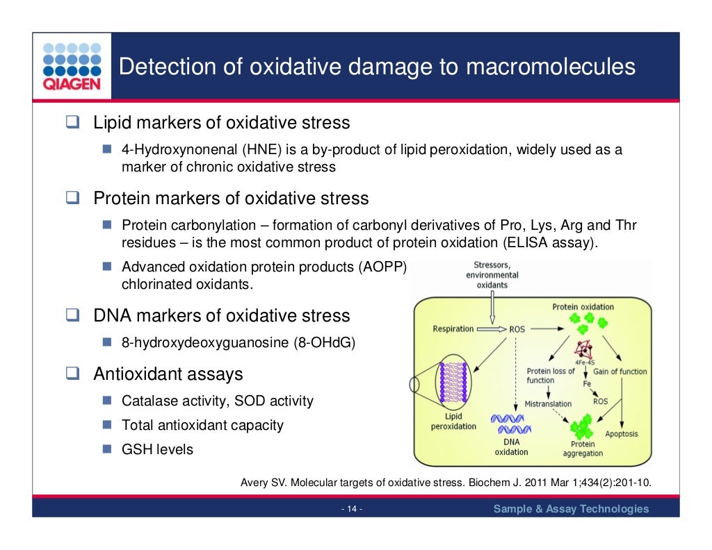 Oxidative stress 2013 Biology Diagrams