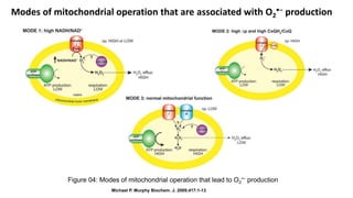 Oxidative stress and mitochondria | PPTX