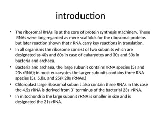Ribosomal RNA Functions and Oxidative Stress Control Mechanisms in ...