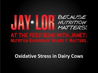 Oxidative Stress in Dairy Cows
 