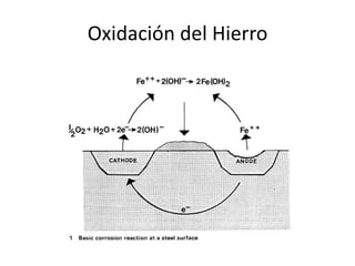 Oxidación del Hierro
 