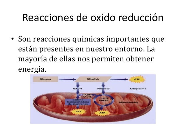 Oxido reduccion