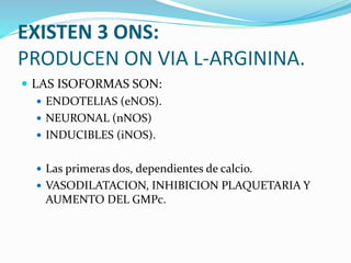 EXISTEN 3 ONS:
PRODUCEN ON VIA L-ARGININA.
 LAS ISOFORMAS SON:
 ENDOTELIAS (eNOS).
 NEURONAL (nNOS)
 INDUCIBLES (iNOS).
 Las primeras dos, dependientes de calcio.
 VASODILATACION, INHIBICION PLAQUETARIA Y
AUMENTO DEL GMPc.
 