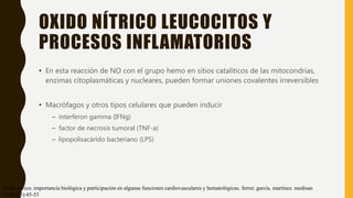 OXIDO NÍTRICO LEUCOCITOS Y
PROCESOS INFLAMATORIOS
• En esta reacción de NO con el grupo hemo en sitios catalíticos de las mitocondrias,
enzimas citoplasmáticas y nucleares, pueden formar uniones covalentes irreversibles
• Macrófagos y otros tipos celulares que pueden inducir
– interferon gamma (IFNg)
– factor de necrosis tumoral (TNF-a)
– lipopolisacárido bacteriano (LPS)
óxido nítrico. importancia biológica y participación en algunas funciones cardiovasculares y hematológicas. ferrer. garcía. martínez. medisan
1998;2(3):45-53
 