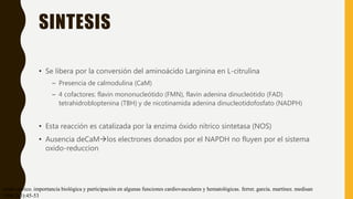 SINTESIS
• Se libera por la conversión del aminoácido Larginina en L-citrulina
– Presencia de calmodulina (CaM)
– 4 cofactores: flavin mononucleótido (FMN), flavin adenina dinucleótido (FAD)
tetrahidrobloptenina (TBH) y de nicotinamida adenina dinucleotidofosfato (NADPH)
• Esta reacción es catalizada por la enzima óxido nítrico sintetasa (NOS)
• Ausencia deCaMlos electrones donados por el NAPDH no fluyen por el sistema
oxido-reduccion
óxido nítrico. importancia biológica y participación en algunas funciones cardiovasculares y hematológicas. ferrer. garcía. martínez. medisan
1998;2(3):45-53
 