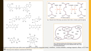 SINTESIS
óxido nítrico un gas tóxico que actúa como regulador de la presión sanguínea josep j. centellesa , cristina estebanb y santiago imperial. offarm. vol 23 núm
11. 2004
 