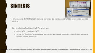 SINTESIS
• En ausencia de TBH la NOS genera peróxido de hidrógeno (H2O2), superóxido y óxido
nítrico
• Los productos finales del NO "in vivo" son:
– nitrito (NO2 - ) y nitrato (NO3 - ).
– La relación de nitrito/nitrato puede ser medida a través de sistemas colorimétricos que tiene
un valor normal de 1.0 µm.
óxido nítrico un gas tóxico que actúa como regulador de la presión sanguínea josep j. centellesa , cristina estebanb y santiago imperial. offarm. vol 23 núm
11. 2004
 