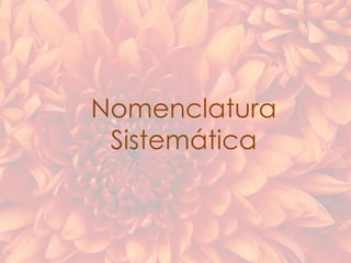 Nomenclatura
Sistemática