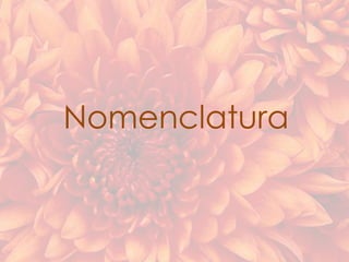 Nomenclatura