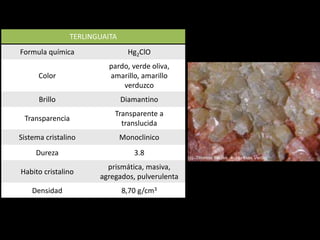 TERLINGUAITA
Formula química Hg2ClO
Color
pardo, verde oliva,
amarillo, amarillo
verduzco
Brillo Diamantino
Transparencia
Transparente a
translucida
Sistema cristalino Monoclinico
Dureza 3.8
Habito cristalino
prismática, masiva,
agregados, pulverulenta
Densidad 8,70 g/cm3
 