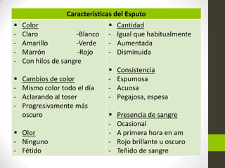 Características del Esputo
 Color
- Claro -Blanco
- Amarillo -Verde
- Marrón -Rojo
- Con hilos de sangre
 Cambios de color
- Mismo color todo el día
- Aclarando al toser
- Progresivamente más
oscuro
 Olor
- Ninguno
- Fétido
 Cantidad
- Igual que habitualmente
- Aumentada
- Disminuida
 Consistencia
- Espumosa
- Acuosa
- Pegajosa, espesa
 Presencia de sangre
- Ocasional
- A primera hora en am
- Rojo brillante u oscuro
- Teñido de sangre
 