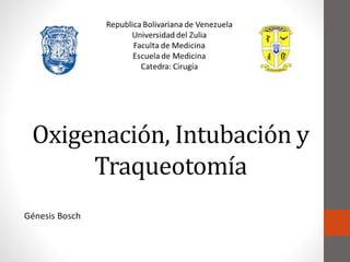 Oxigenación, Intubación y 
Traqueotomía 
Génesis Bosch 
 