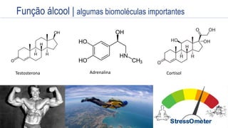 Estrutura
R - OH
Cadeia Orgânica Ligada a uma ou mais HIDROXILASTestosterona Adrenalina Cortisol
Função álcool | algumas biomoléculas importantes
 