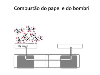 Combustão do papel e do bombril 
10g papel 
 