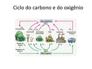 Ciclo do carbono e do oxigênio 
 