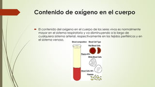 Contenido de oxígeno en el cuerpo
 El contenido del oxígeno en el cuerpo de los seres vivos es normalmente
mayor en el sistema respiratorio y va disminuyendo a lo largo de
cualquiera sistema arterial, respectivamente en los tejidos periféricos y en
el sistema venoso.
 