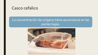 Casco cefalico
La concentración de oxígeno tiene acumularse en las
partes bajas.
 