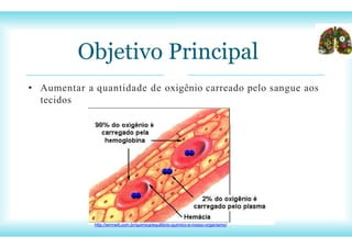 • Aumentar a quantidade de oxigênio carreado pelo sangue aos
tecidos
Objetivo Principal
http://wmnett.com.br/quimica/equilibrio-quimico-e-nosso-organismo/
 