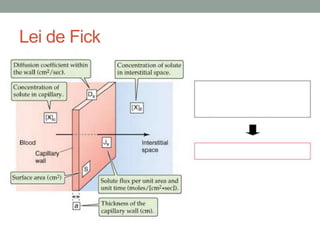 Lei de Fick
 