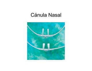 Cánula Nasal
 