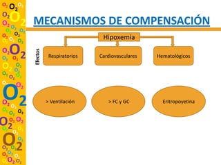 O2
     O2O2
O2
O2 O O2       MECANISMOS DE COMPENSACIÓN
 O2 2 O2
O2 O2                                     Hipoxemia
O2 O2 O2
O2   O2
              Efectos


O2 O2                    Respiratorios   Cardiovasculares   Hematológicos

O   O2
  2 O2
O2 O
  O2 2
O2 O

O2
O2 O
O2    2
          2

                        > Ventilación       > FC y GC         Eritropoyetina

     O2 O2
O2
O2
     O2 O2
        O
      O2 2

O2
O2 O2
        O2

O2O2 O
      2
O2O2 O2
 