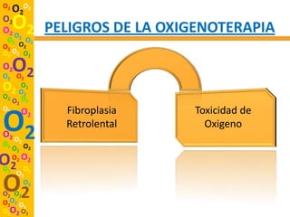 O2
     O2O2
O2
O2 O O2       PELIGROS DE LA OXIGENOTERAPIA
 O2 2 O2
O2 O2
O2 O2 O2
O2
O2 O2
     O2
O   O2
  2 O2
O2 O
  O2 2
O2 O            Fibroplasia     Toxicidad de
O2
O2 O
O2    2
          2
                Retrolental       Oxigeno

     O2 O2
O2
O2
     O2 O2
        O
      O2 2

O2
O2 O2
        O2

O2O2 O
      2
O2O2 O2
 