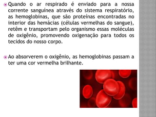 ⦿ Quando o ar respirado é enviado para a nossa
corrente sanguínea através do sistema respiratório,
as hemoglobinas, que são proteínas encontradas no
interior das hemácias (células vermelhas do sangue),
retêm e transportam pelo organismo essas moléculas
de oxigênio, promovendo oxigenação para todos os
tecidos do nosso corpo.
⦿ Ao absorverem o oxigênio, as hemoglobinas passam a
ter uma cor vermelha brilhante.
 