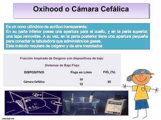 Oxihood oo CCáámmaarraa CCeeffáálliiccaa 
Fracción Inspirada de Oxigeno con dispositivos de bajo 
Sistemas de Bajo Flujo 
DISPOSITIVO Flujo en L/min FiO2 (%) 
Cámara Cefálica 
10 
60 
12 
 