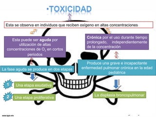 Esta se observa en individuos que reciben oxígeno en altas concentraciones 
Esta puede ser aguda por 
utilización de altas 
concentraciones de O2 en cortos 
periodos 
Crónica por el uso durante tiempo 
prolongado, independientemente 
de la concentración 
Una etapa exudativa 
Una etapa proliferativa 
Produce una grave e incapacitante 
enfermedad pulmonar crónica en la edad 
pediátrica 
La fase aguda se produce en dos etapas 
La displasia broncopulmonar 
 