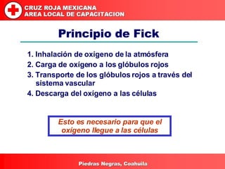 Principio de Fick <ul><li>1. Inhalación de oxígeno de la atmósfera </li></ul><ul><li>2. Carga de oxígeno a los glóbulos ro...