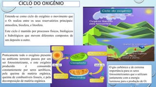 Entende-se como ciclo do oxigênio o movimento que
o O2 realiza entre os seus reservatórios principais:
atmosfera, biosfera, e litosfera.
Este ciclo é mantido por processos físicos, biológicos
e hidrológicos que movem diferentes compostos de
um deposito a outro.
CICLO DO OXIGÊNIO
Praticamente todo o oxigênio presente
no ambiente terrestre passou por um
ser fotossintetizante, e este oxigênio
produzido é consumido
constantemente por seres aeróbicos,
pela queima de matéria orgânica,
queima de combustíveis fosseis, e pela
decomposição de matéria orgânica.
O gás carbônico e de extrema
importância para os seres
fotossintetizantes que o utilizam
juntamente com a energia
luminosa para a produção de O2
 