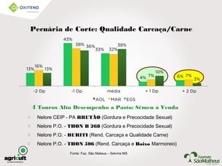 Fonte: Faz. São Mateus – Selvíria MS
Pecuária de Corte: Qualidade Carcaça/Carne
4 Touros Alto Desempenho a Pasto: Sêmen à Venda
o Nelore CEIP - PA BRUTÃO (Gordura e Precocidade Sexual)
o Nelore P.O. - THON B 268 (Gordura e Precocidade Sexual)
o Nelore P.O. - BURITI (Rend. Carcaça e Qualidade Carne)
o Nelore P.O. - THON 506 (Rend. Carcaça e Baixo Marmoreio)
 
