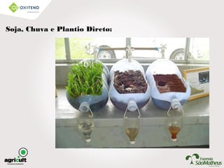 Soja, Chuva e Plantio Direto:
 