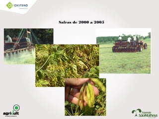 Safras de 2000 a 2005
 