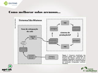 Como melhorar solos arenosos...
 