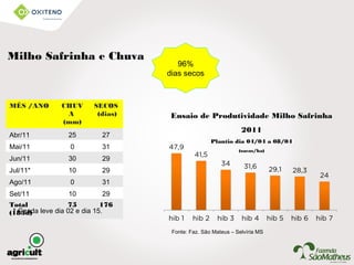 MÊS /ANO CHUV
A
(mm)
SECOS
(dias)
Abr/11 25 27
Mai/11 0 31
Jun/11 30 29
Jul/11* 10 29
Ago/11 0 31
Set/11 10 29
Total
(183d)
75 176
96%
dias secos
Fonte: Faz. São Mateus – Selvíria MS
Milho Safrinha e Chuva
* Geada leve dia 02 e dia 15.
Ensaio de Produtividade Milho Safrinha
2011
Plantio dia 04/04 a 08/04
(sacas/ha)
 