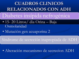 CUADROS CLINICOSCUADROS CLINICOS
RELACIONADOS CON ADHRELACIONADOS CON ADH
 