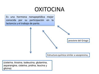 OXITOCINA
Es una hormona nonapeptídica mejor
conocida por su participación en la
lactancia y el trabajo de parto.
proviene del Griego
(cisteína, tirosina, isoleucina, glutamina,
asparangina, cisteína, prolina, leucina y
glicina)
Estructura química similar a vasopresina,
 