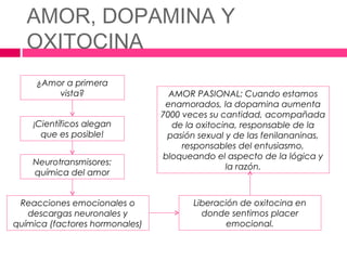 AMOR, DOPAMINA Y
   OXITOCINA
     ¿Amor a primera
         vista?                   AMOR PASIONAL: Cuando estamos
                                 enamorados, la dopamina aumenta
                                7000 veces su cantidad, acompañada
    ¡Científicos alegan            de la oxitocina, responsable de la
      que es posible!            pasión sexual y de las fenilananinas,
                                     responsables del entusiasmo,
                                bloqueando el aspecto de la lógica y
    Neurotransmisores:
                                                la razón.
    química del amor


 Reacciones emocionales o              Liberación de oxitocina en
   descargas neuronales y                donde sentimos placer
química (factores hormonales)                  emocional.
 