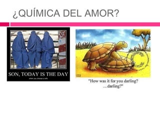 ¿QUÍMICA DEL AMOR?
 