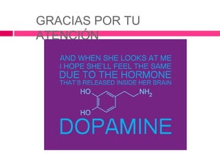 GRACIAS POR TU
ATENCIÓN
 