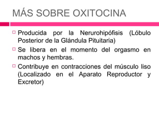 MÁS SOBRE OXITOCINA
   Producida por la Nerurohipófisis (Lóbulo
    Posterior de la Glándula Pituitaria)
   Se libera en el momento del orgasmo en
    machos y hembras.
   Contribuye en contracciones del músculo liso
    (Localizado en el Aparato Reproductor y
    Excretor)
 