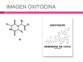 IMAGEN OXITOCINA
 