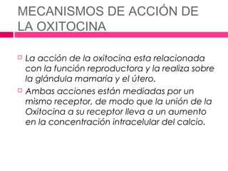 MECANISMOS DE ACCIÓN DE
LA OXITOCINA

   La acción de la oxitocina esta relacionada
    con la función reproductora y la realiza sobre
    la glándula mamaria y el útero.
   Ambas acciones están mediadas por un
    mismo receptor, de modo que la unión de la
    Oxitocina a su receptor lleva a un aumento
    en la concentración intracelular del calcio.
 