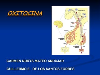 OXITOCINA CARMEN NURYS MATEO ANDUJAR  GUILLERMO E.  DE LOS SANTOS FORBES 