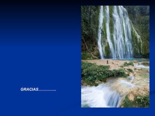GRACIAS………….. 