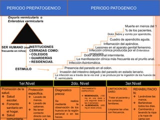 PERIODO PREPATOGENICO

PERIODO PATOGENICO

Oxyuris vermicularis o
Enterobius vermicularis
Muerte en menos del 1
% de los pacientes.
Dolor, fiebre y vomito por apendicitis.

INSTITUCIONES
SER HUMANO (mas
frecuente en niños) CERRADAS COMO:
• COLEGIOS
• GUARDERÍAS
• RESIDENCIAS.
ESTIMULO

Cuadro de apendicitis aguda.
Inflamación del apéndice.
Lesiones en el aparato genital femenino.
Infección crónica producida por el Enterobius
vermicularis

Dolor abdominal intermitente.
La manifestación clínica más frecuente es el prurito anal.
Infección Asintomática.
Presencia del parasito en el colon.
Invasión del intestino delgado del parasito en estado larvario.

La infección es a través de la vía oral y se produce por la ingestión de los huevos de
E. vermicularis

1er.Nivel
Promoción de la
salud.
 Salud
escolar.
 Fomento
sanitario en
el hogar.
 Salud
comunitaria.

Protección
especifica.
 Lavado de
manos.
 Lavado de
sabanas.
 No tener
contacto
directo con las

2do. Nivel
Diagnostico
precoz
Se
realiza
mediante
la
observación de los
huevos en la región
perianal o en las
heces.

3er.Nivel

TRATAMIENTO
ESPECIFICO:

LIMITACION DEL
DAÑO:

 MEBENDAZOL (100
mg en una dosis y
una segunda dosis a
las 2 semanas).
 ALBENDAZOL (400
mg en dosis única).

Tratar al paciente y
los contactos
familiares.
Limpiarse las uñas
con frecuencia.

REHABILITACIO
N:
 Lavándose las
manos.
 Bañándose
todos los días.
 Cambiando y
lavando la ropa
y la ropa de
cama con

 