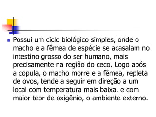    Possui um ciclo biológico simples, onde o
    macho e a fêmea de espécie se acasalam no
    intestino grosso do ser humano, mais
    precisamente na região do ceco. Logo após
    a copula, o macho morre e a fêmea, repleta
    de ovos, tende a seguir em direção a um
    local com temperatura mais baixa, e com
    maior teor de oxigênio, o ambiente externo.
 